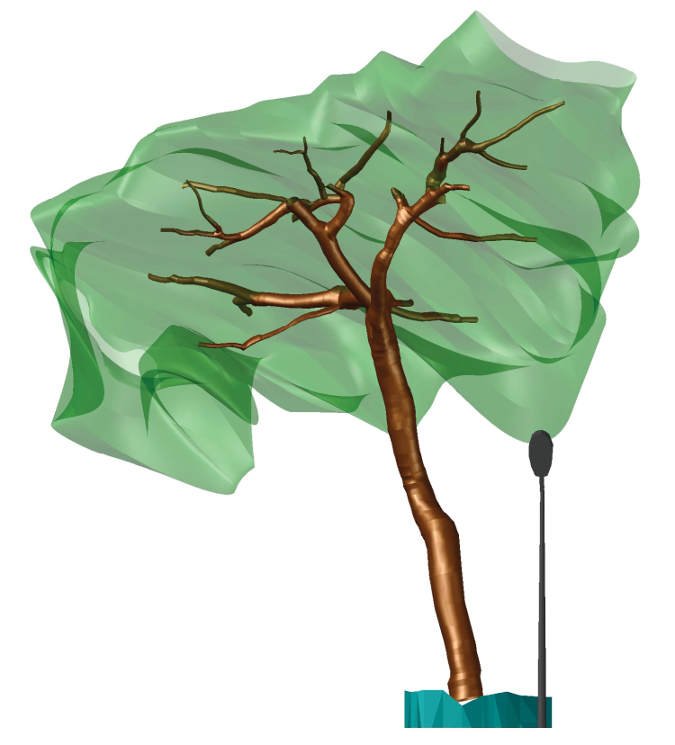 Modélisation d'un arbre rue Gustave Lemaire à Dunkerque